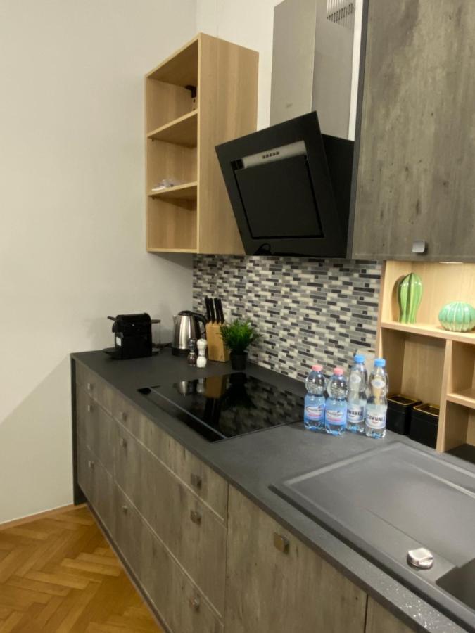 Dunin Majestic Residence 4 克拉科夫 外观 照片